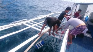 Cebu Fieldwork